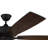 Antoine 60'' Ceiling Fan with Light Kit-1761568477