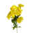 Yellow is out of stock