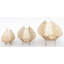 Blessed Metal Tray - Set of 3