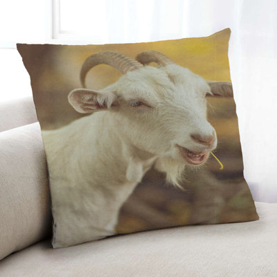 Throw Pillow