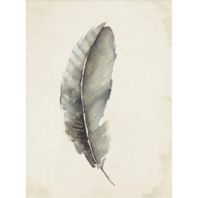 Charcoal Feathers III Print by Beverly Fuller