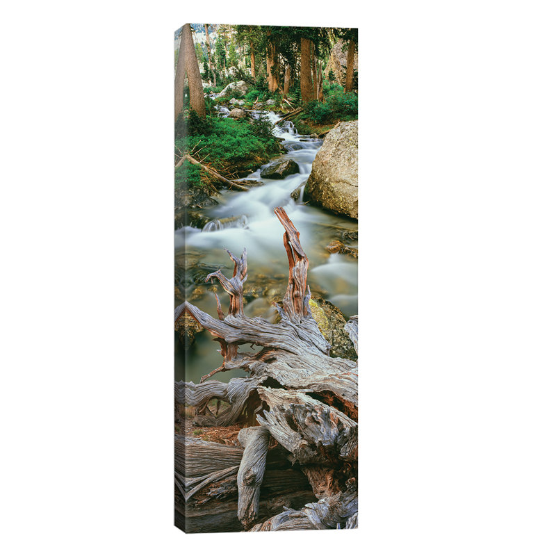 Meltwater, Glacier Gulch, Grand Teton National Park, Wyoming, USA - No Frame Panoramic Print on Canvas