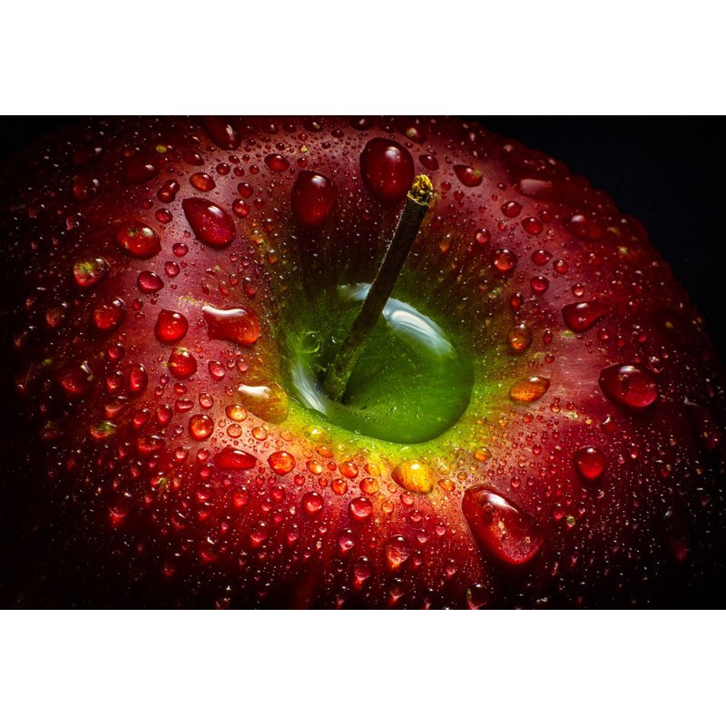 Wrapped Canvas Print, 50.8 cm H x 76.2 cm W