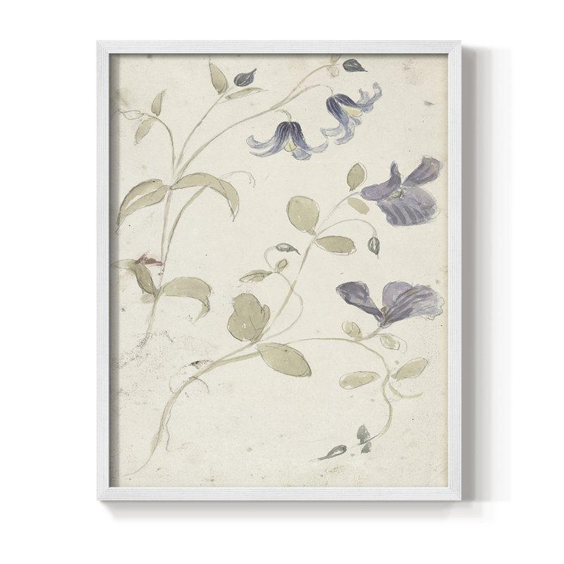 Reproduction florale vintage encadrée CCXVII - bois massif, H 15 po x l 12 po, Blanc