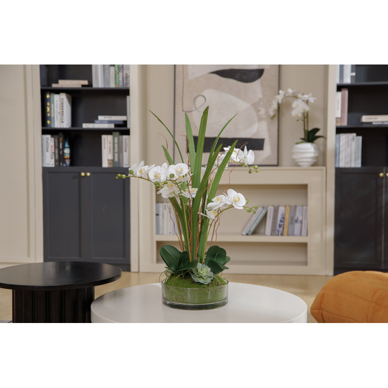 Arrangement d'orchidées blanches de 29,5 po dans un vase en verre | Orchidées phalaenopsis blanches par Fiori Semper