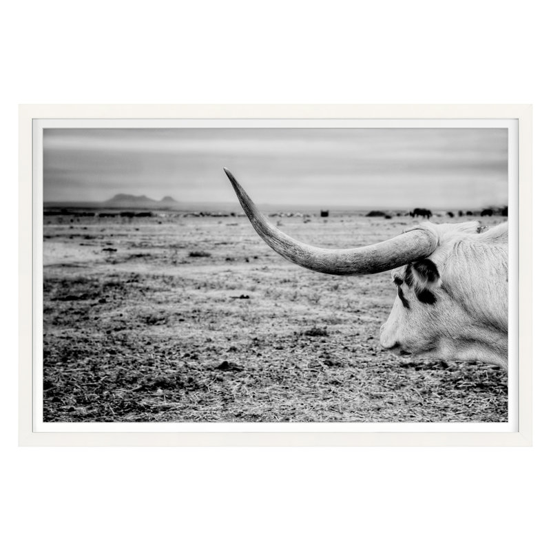 The Horn Print by Cornell, Jean, White Single Picture Framed, 20'' H x 30'' W
