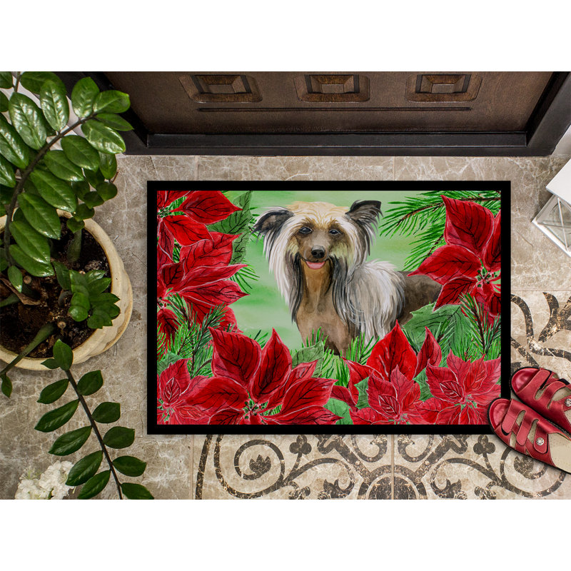 Poinsettas de crête 36 po x 24 po tapis de porte extérieur antidérapant Chinese, Rectangle 2 pi x 3 pi