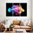 Brampt Rainbow Lionfish-108062901