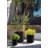 Demi Series Round Planter Set of 3-97707128