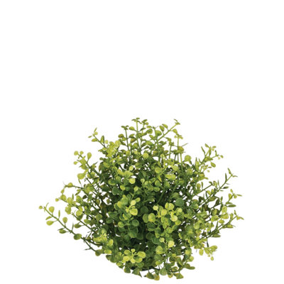 Remplissage de vase Tomeny Baby Grass