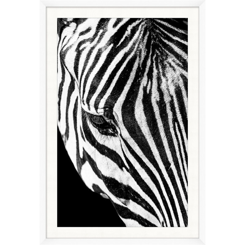Dynamic Zebra 3 Print by Mat Sanders