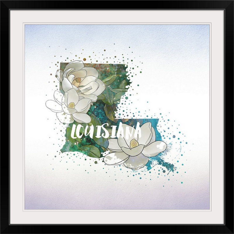 « louisiana state fleur (magnolia) », impression, Cadre noir, H 20" x l 20" x P 1"