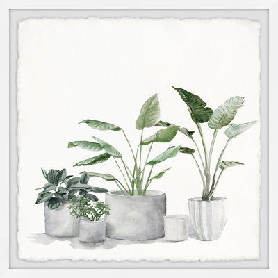 Plant Collection - Single Picture Frame Painting