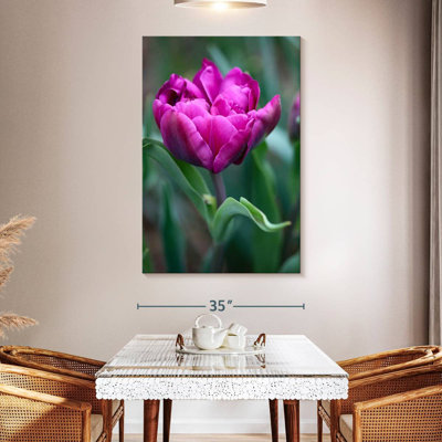 Harnek tulipe fuchsia