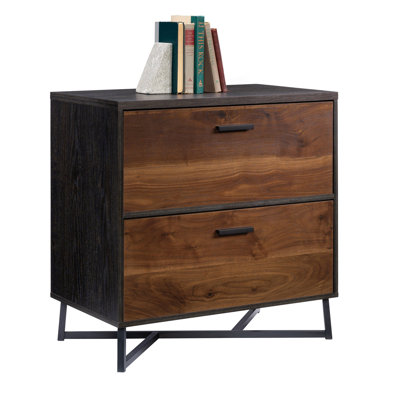 Modern Lateral File Cabinet by Ebern Designs