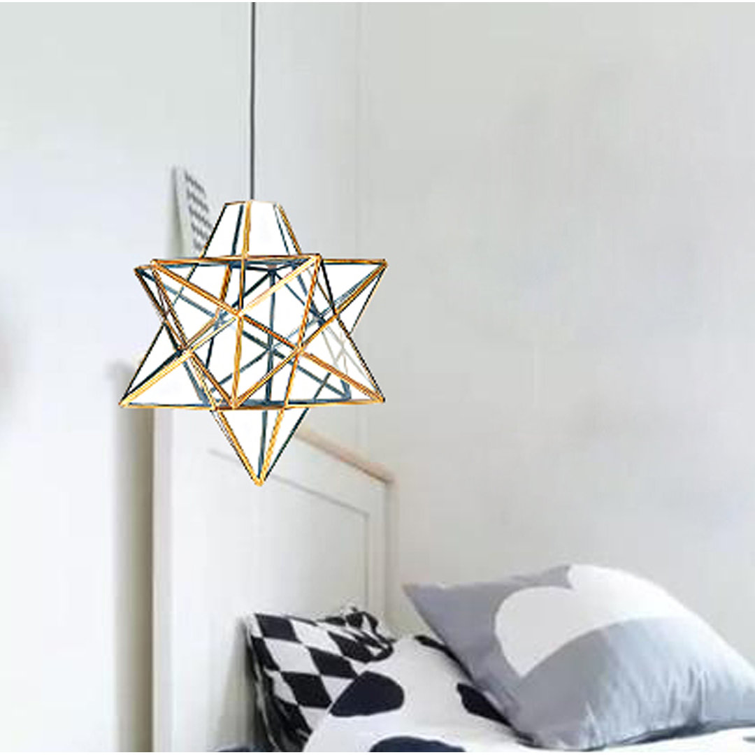 20cm H Glass Novelty Pendant Shade ( Screw On )
