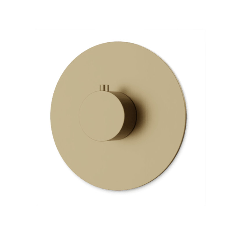 Round Thermostat Trim Kit Satin Brass