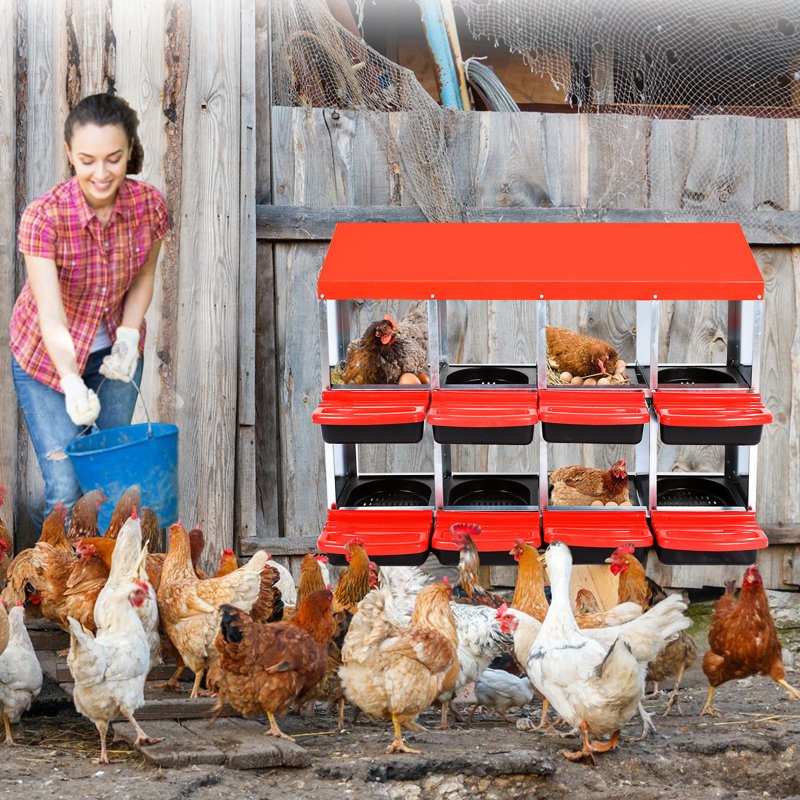 Egg Boxes & Baskets