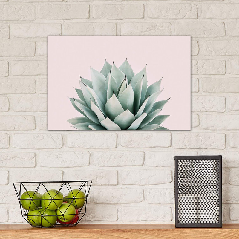 Agave by Sisi & Seb - Wrapped Canvas Print, 30.48 cm H x 45.72 cm W