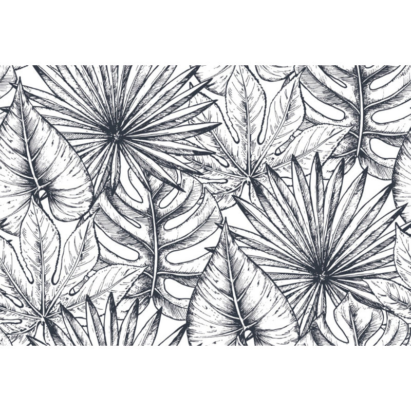 Chanruss Matte Wall Mural, 300cm W x 200cm L