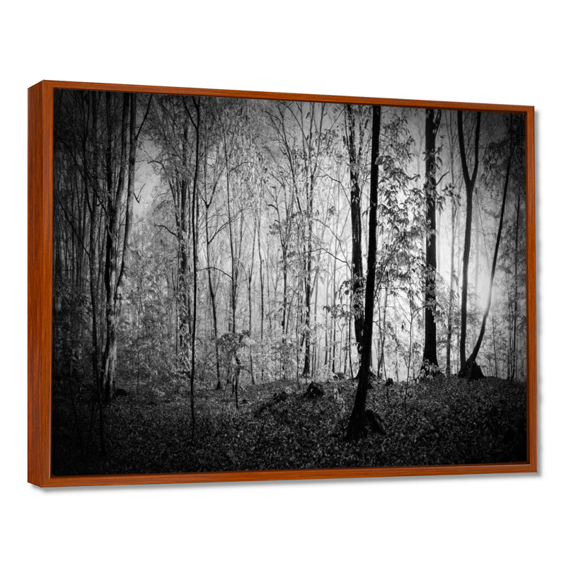«Beautiful Forest Morning Panorama», reproduction, H 12 po x l 20 po, Cadre flottant brun