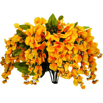 Fleurs et tiges de glycine