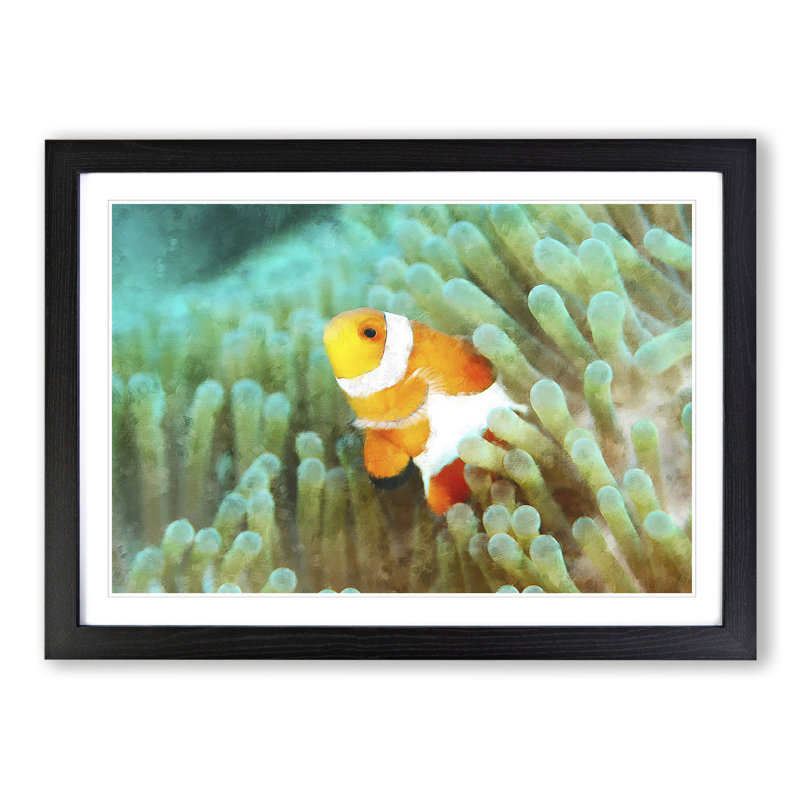 Clownfish Vol.1 - Picture Frame Graphic Art, 27cm H x 36cm W x 2cm D, Black Framed