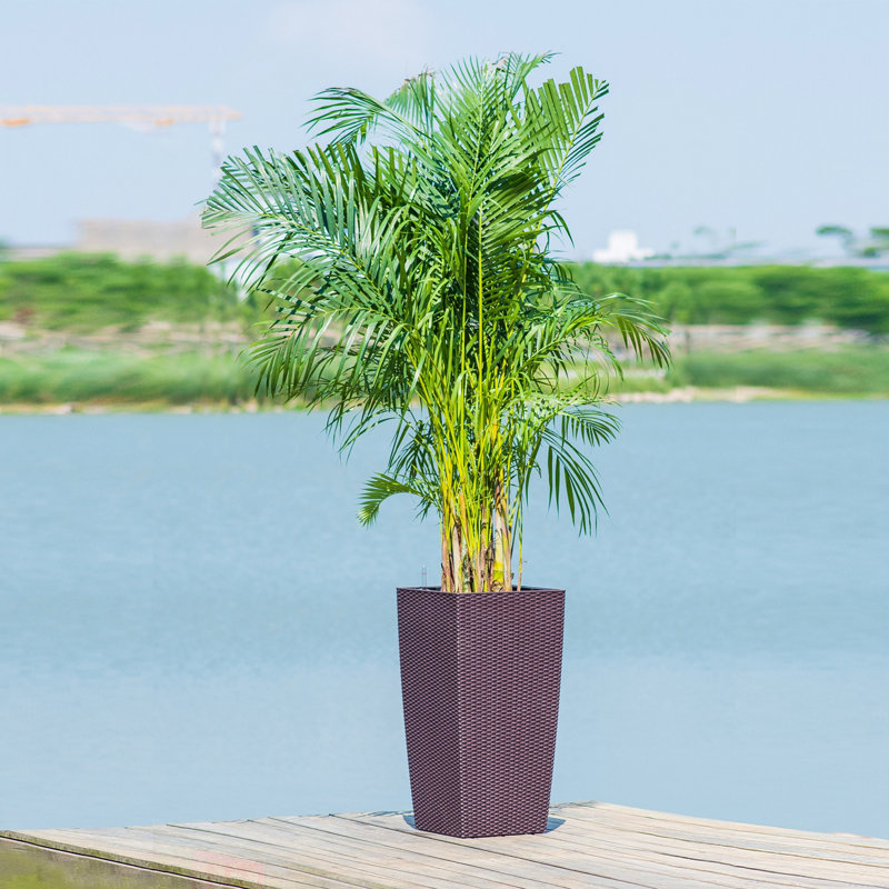 Flower Pot Planter With Self-Watering Drainage Holes, 30.12" H x 15.35" W x 15.35" D, Brown