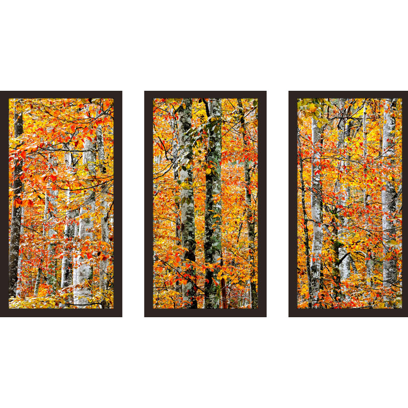 Autumn Aura - Ensemble de 3 reproductions de photos sur acrylique, H 25,5 po x l 40,5 po x P 1 po