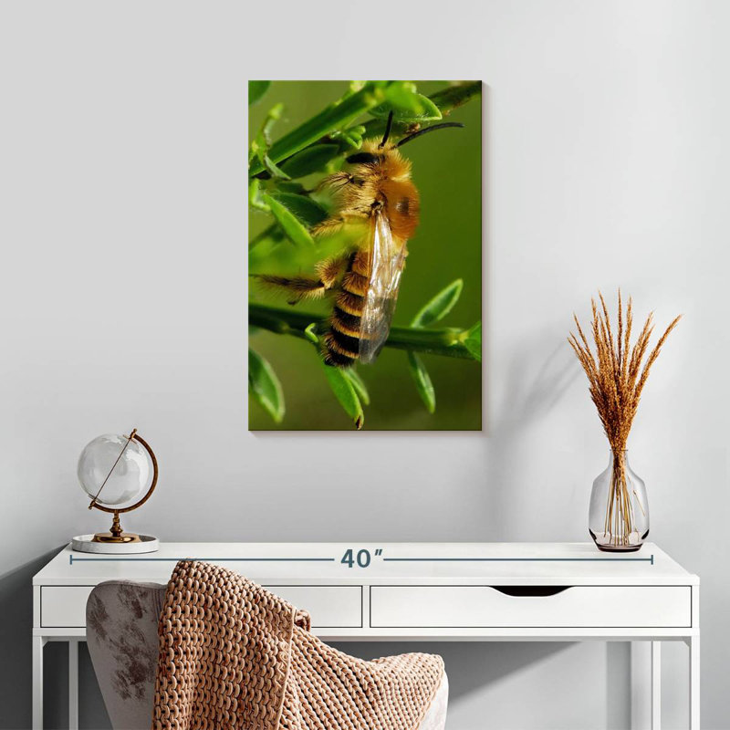 Brampt Bee Bee Bee, H 24 po x l 16 po
