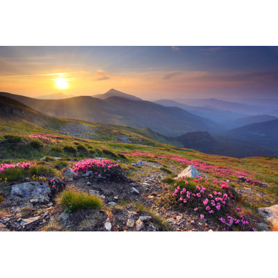 " Misty Morning "