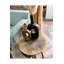 Tulum Nesting Coffee Table Set