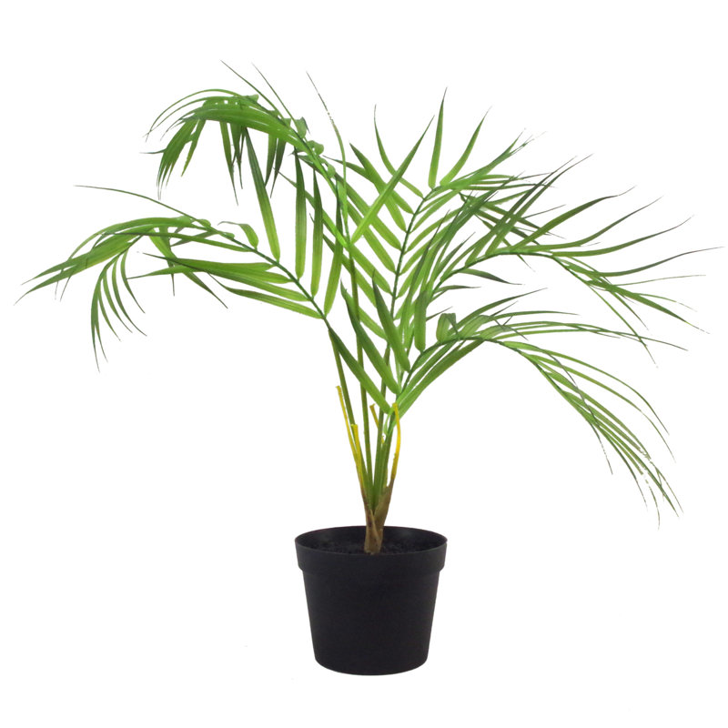 Anivea 50cm Faux Palm Tree in Pot