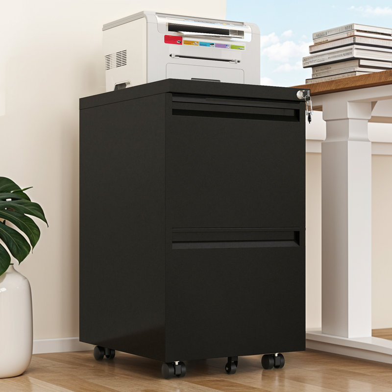 39cm Wide 2 -Drawer Mobile Steel File Cabinet, Black