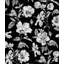 Hibiscus Haiti Flower Wallpaper-81646479
