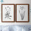 Inky Botanical I - Ensemble de 2 peintures sur toile encadrées-539907598-539907599