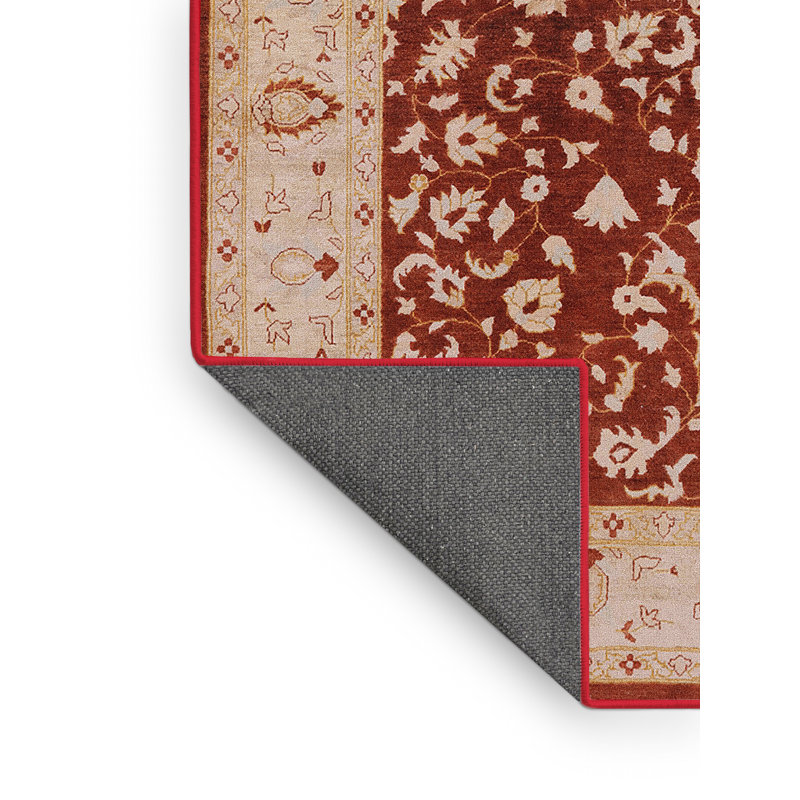 Nolina Oriental Indoor Rug, Rectangle 5' x 7'