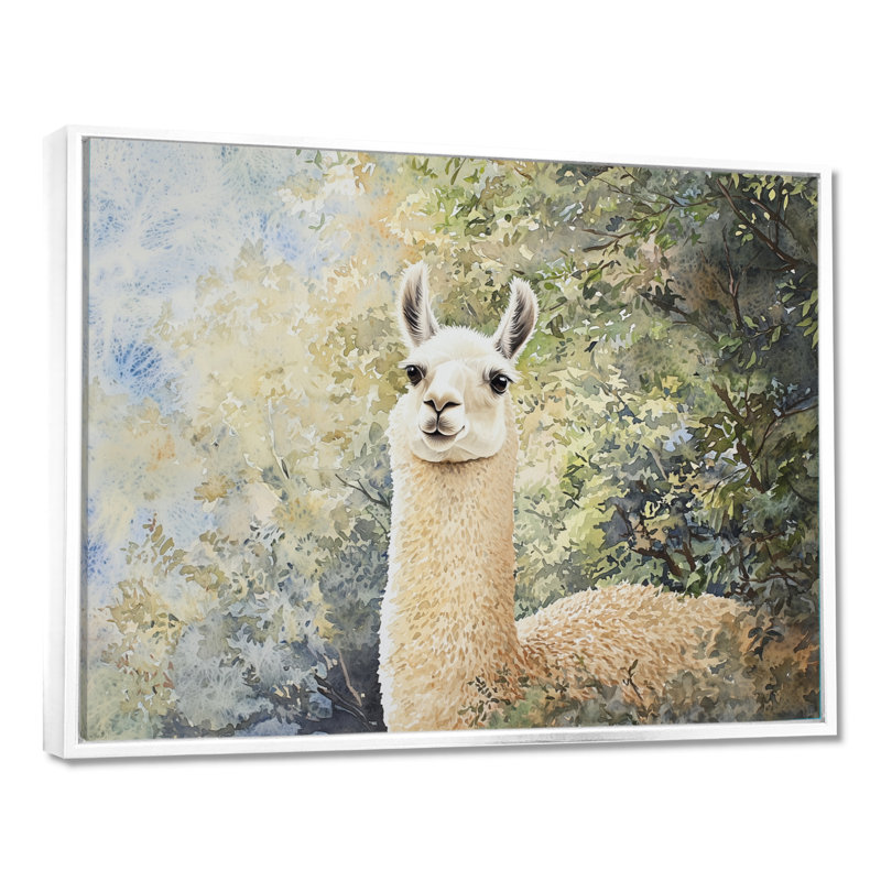 Lama qui erre dans la forêt - Art mural lama, H 34 po x l 44 po, Impression dans un cadre flottant sans passe-parto, Blanc
