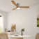 Ceiling Fans with Lights Dimmable and Remote Control Flush Mount