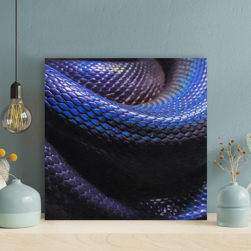 " Black Snake Closeup Photo " Painting Print, 32" H x 32" W
