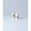Butterfly Meadow Salt & Pepper Shakers