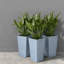 Ensemble de jardinières durables en polyéthylène