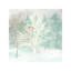 Winter Wonder I by Cynthia Coulter - Print on Canvas-1347948913-1470155738