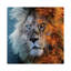 Fire and Ice 1 Piece Wall Art on Canvas-1662563799-1662563820