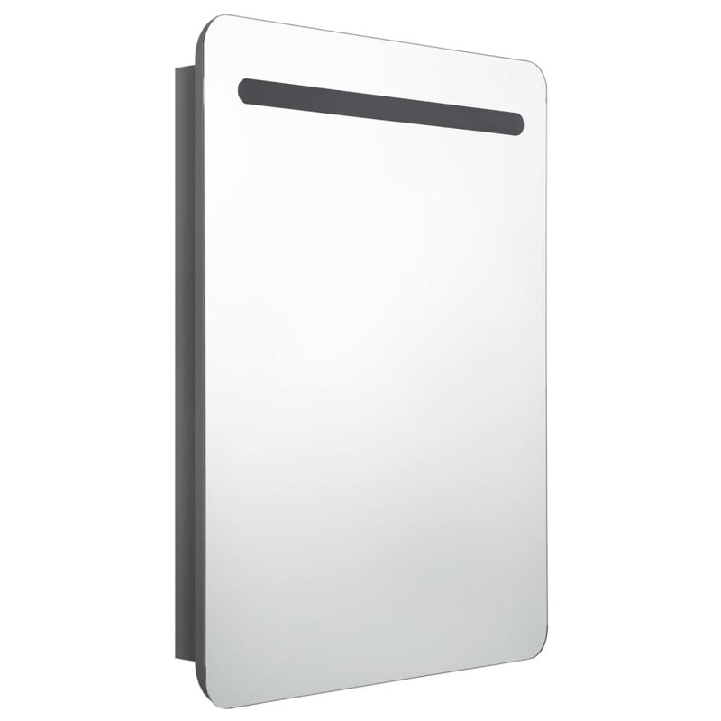 Lirah 600mm W 800mm H Surface Frameless Medicine Cabinet Mirror 2 Fixed, Shining Grey