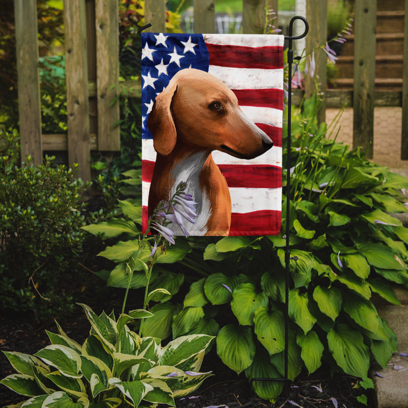 Polyester à 2 côtés 15 x 11 po drapeau de jardin, Azawakh