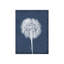 Puffy Seed I Print by Chris Dunker-26936529-26936531