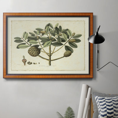 " Delicate Botanical IV "