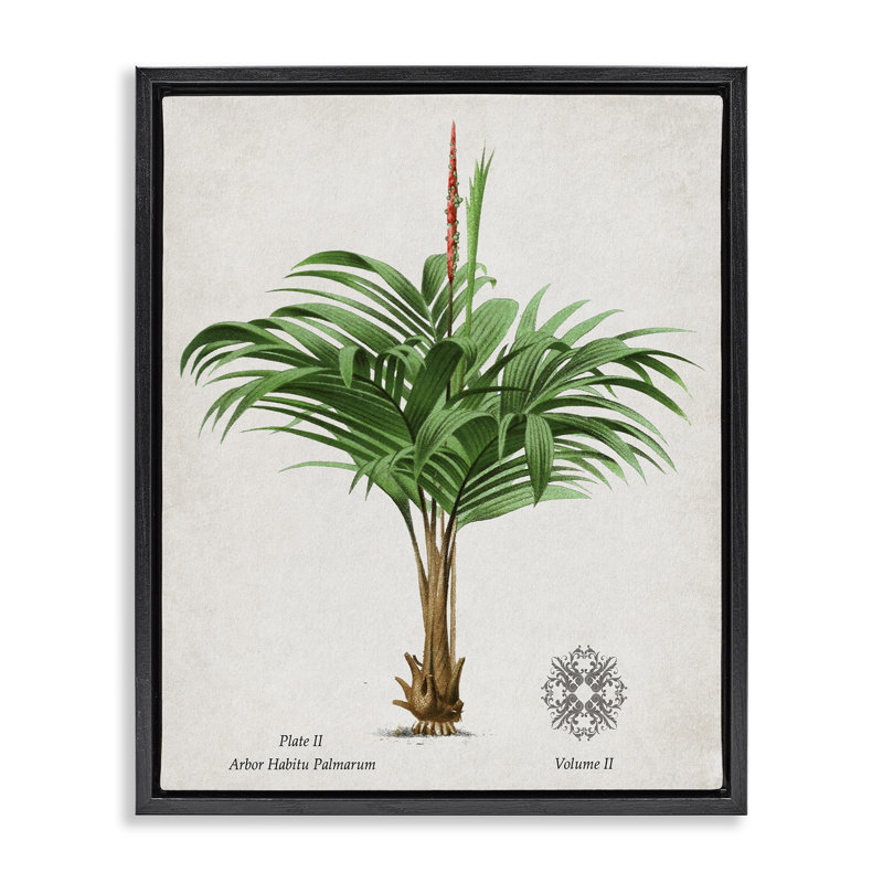 Cadre flottant Natural Palm, Cadre flottant noir de jais, H 31 po x l 25 po