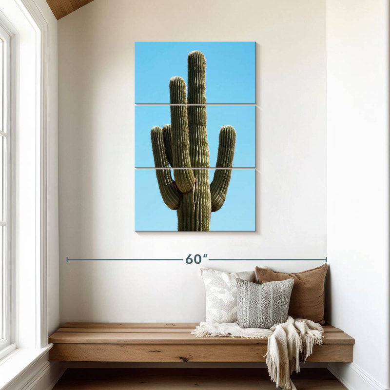 Le cactus Saguaro, H 45 po x l 28 po